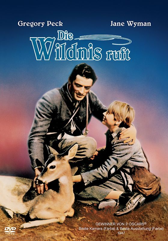 Die Wildnis ruft DVD