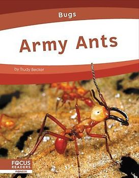 Army Ants