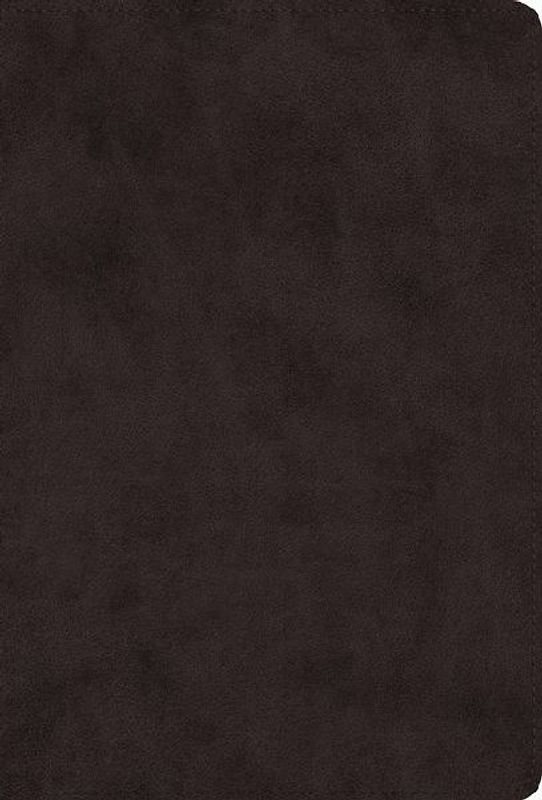 ESV Giant Print Value Thinline Bible (Trutone, Black)