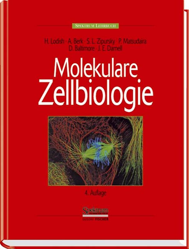 Molekulare Zellbiologie