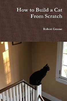 How to Build a Cat From Scratch