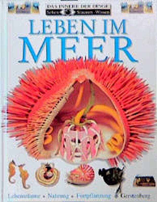 Leben im Meer