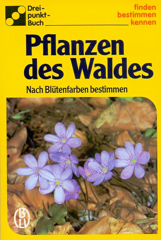 Pflanzen des Waldes. Nach Blütenfarben bestimmen