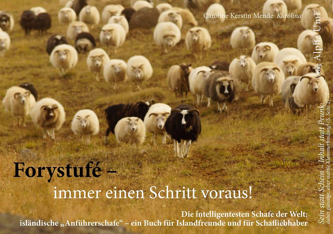 Forystufé – immer einen Schritt voraus