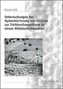 Untersuchungen der Hydrochlorierung von Silizium zur Trichlorsilansynthese in einem Wirbelschichtreaktor