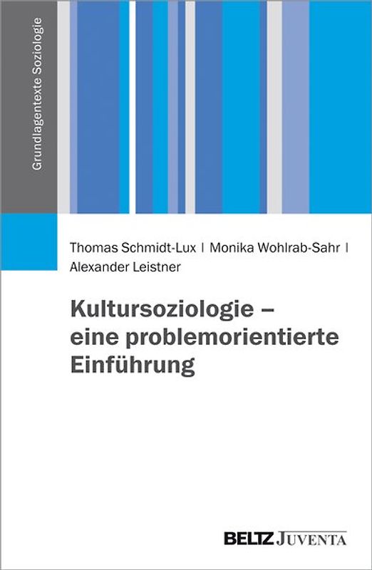 Kultursoziologie – eine problemorientierte Einführung