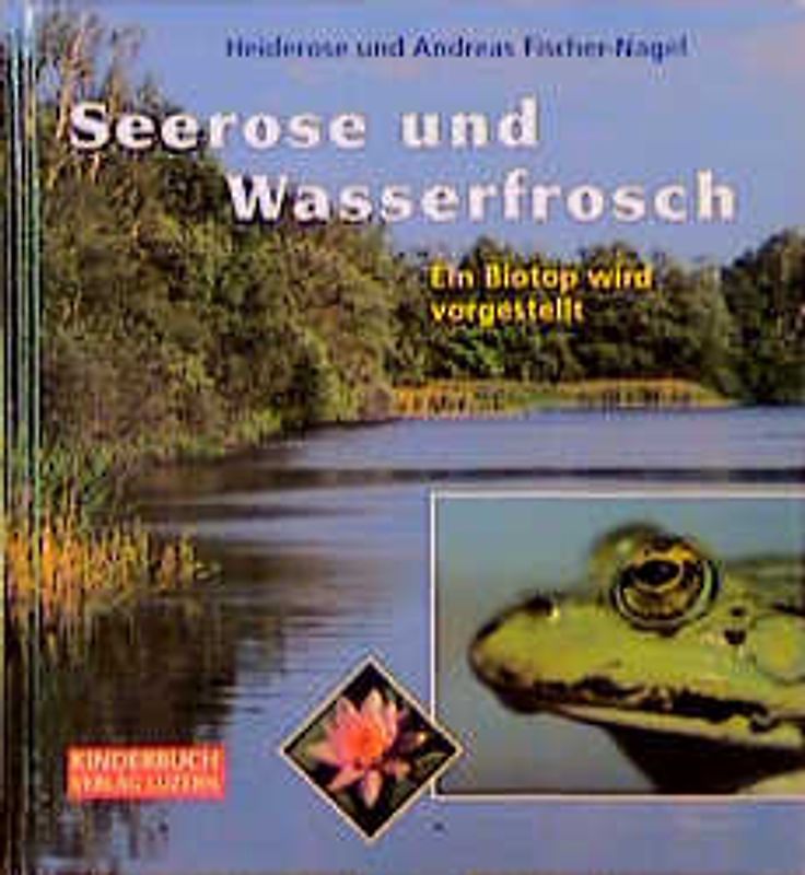 Seerose und Wasserfrosch