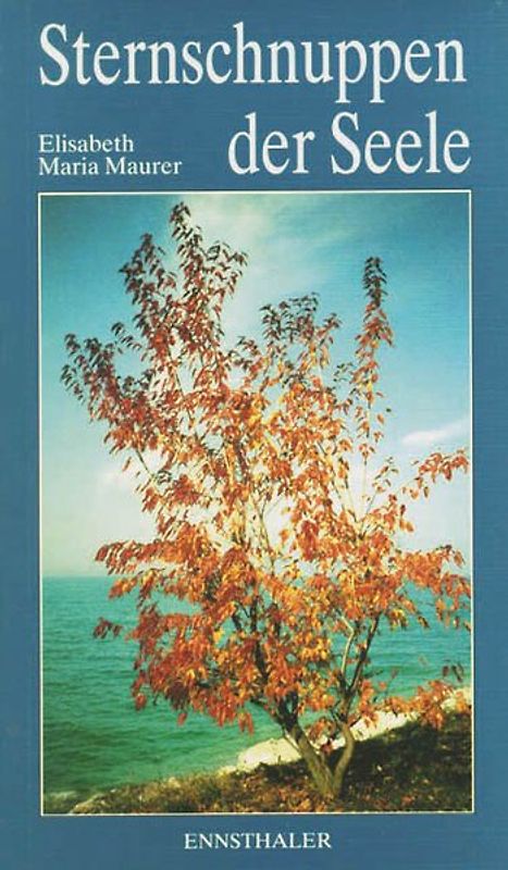 Sternschnuppen der Seele