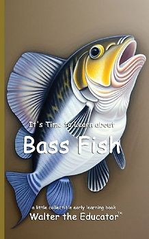 It's Time to Learn about Bass Fish