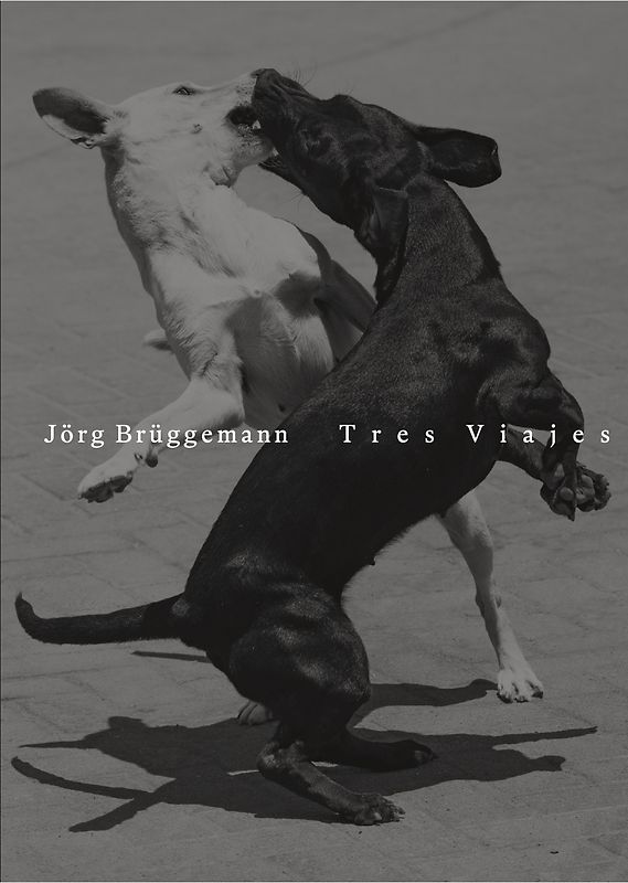 Jörg Brüggemann | Tres Viajes