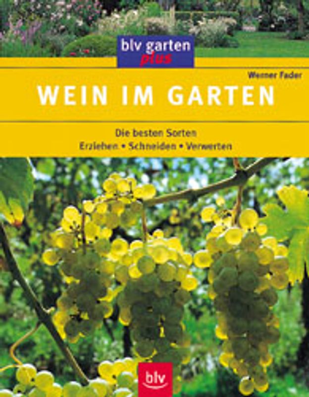 Wein im Garten