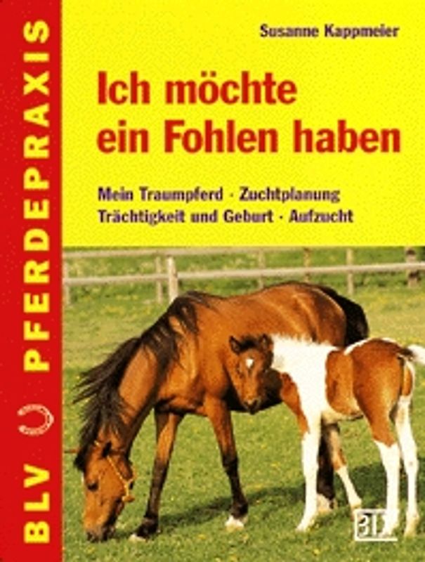 Ich möchte ein Fohlen haben