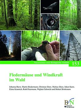 Fledermäuse und Windkraft im Wald
