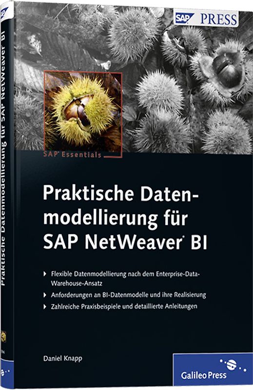 Praktische Datenmodellierung für SAP NetWeaver BI