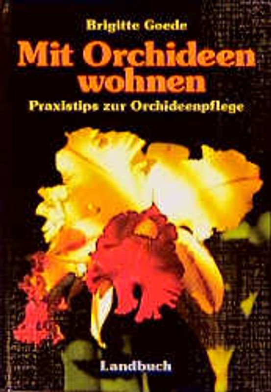 Mit Orchideen wohnen. Praxistips zur Orchideenpflege