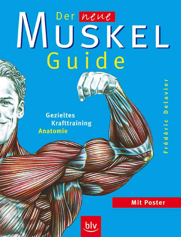 Der neue Muskel-Guide