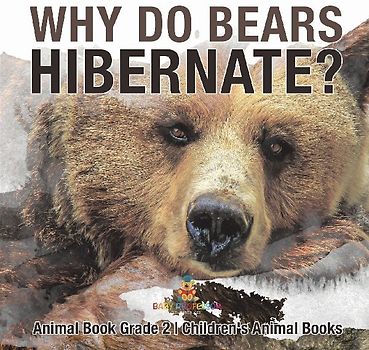 Why Do Bears Hibernate? Animal Book Grade 2 | Children's Animal Books