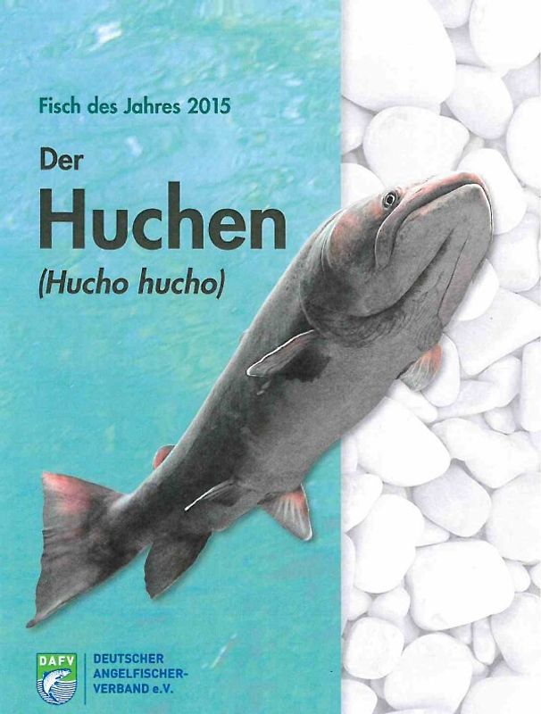 Der Huchen (Hucho hucho)