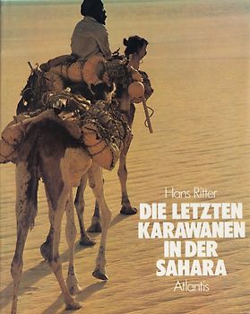 Salzkarawanen in der Sahara