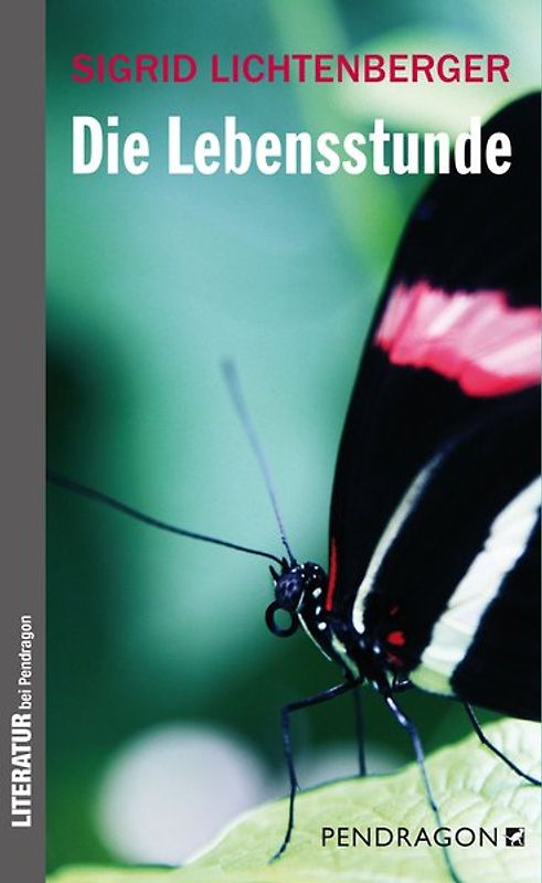Die Lebensstunde