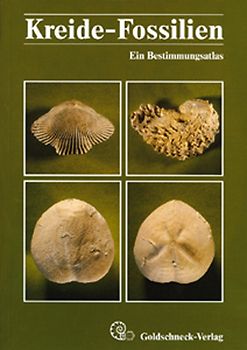 Kreide-Fossilien