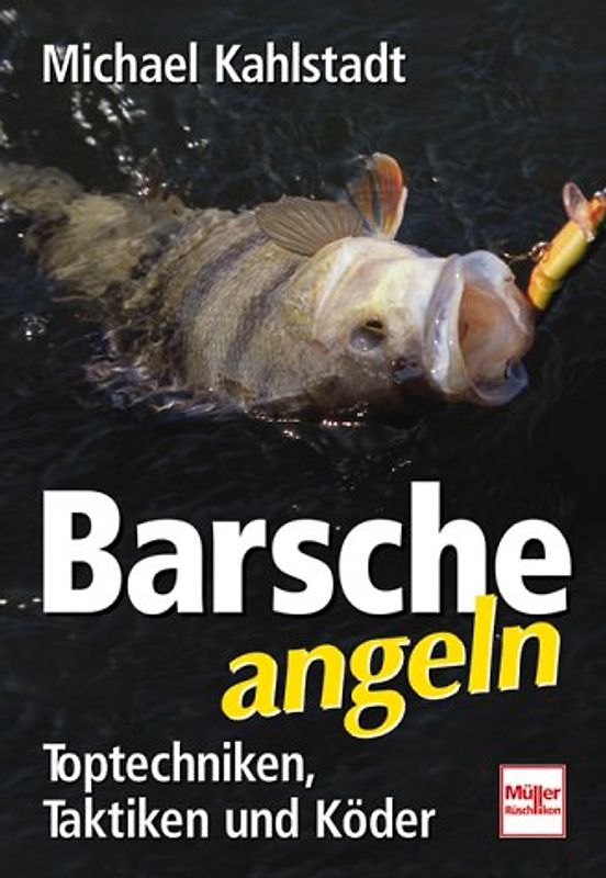 Barsche angeln. Toptechniken, Taktiken und Köder