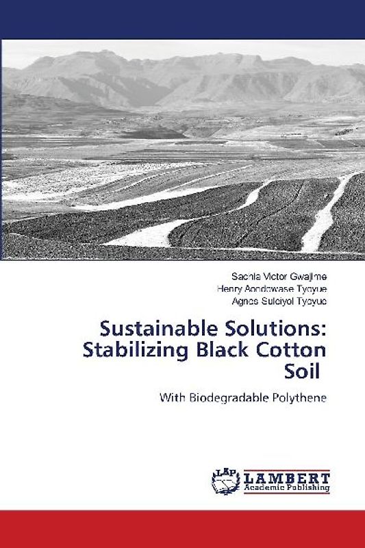 Sustainable Solutions: Stabilizing Black Cotton Soil
