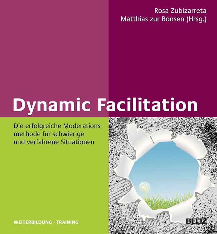 Dynamic Facilitation
