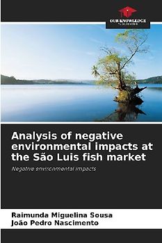 Analysis of negative environmental impacts at the São Luis fish market
