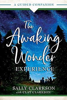 The Awaking Wonder Experience