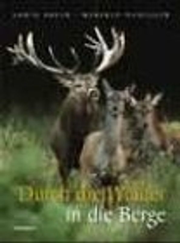 Durch die Wälder in die Berge