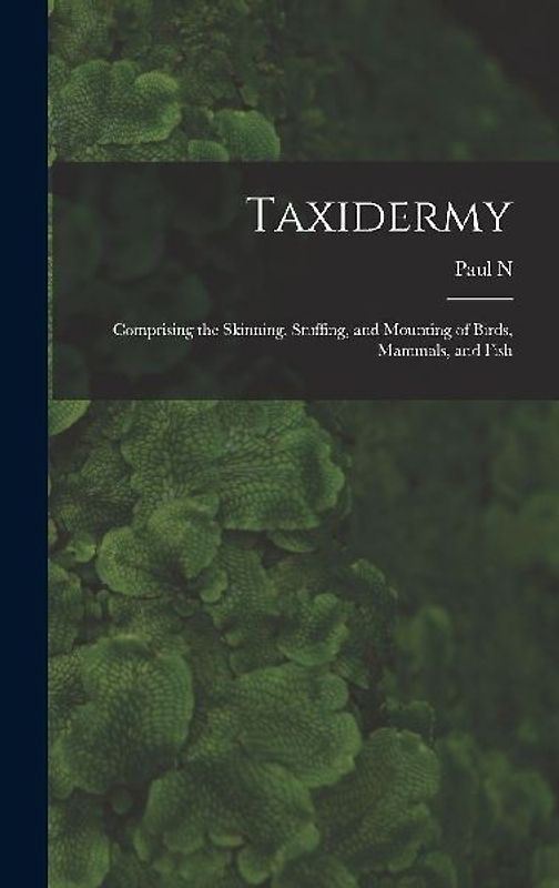 Taxidermy