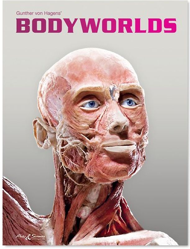 BODY WORLDS - The Original Exhibition (EN)