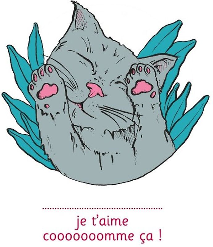 Je t'aime cooooooomme ça ! - illustré par Anne Bory