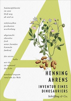 Inventur eines Dinosauriers