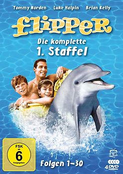 Flipper - Die komplette 1. Staffel [4 DVDs] DVD