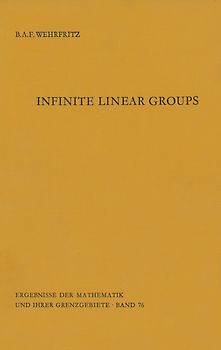 Infinite Linear Groups