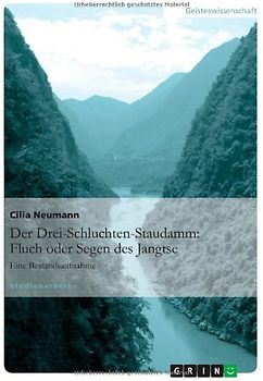 Der Drei-Schluchten-Staudamm: Fluch oder Segen des Jangtse. Eine Bestandsaufnahme