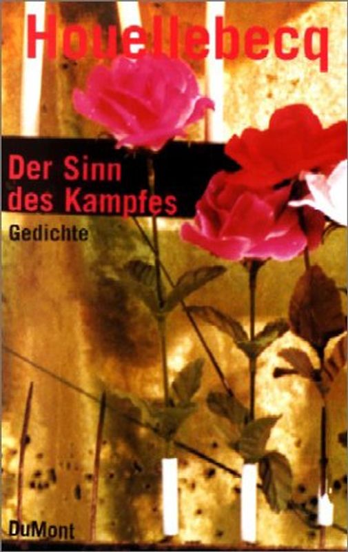 Der Sinn des Kampfes