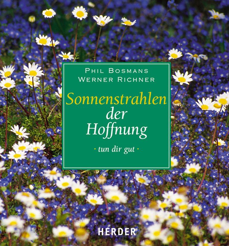 Sonnenstrahlen der Hoffnung
