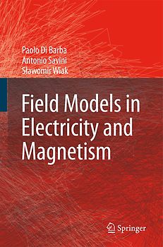 Field Models in Electricity and Magnetism