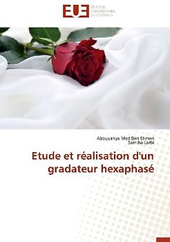 Etude et réalisation d'un gradateur hexaphasé