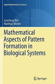 Mathematical Aspects of Pattern Formation in Biological Systems