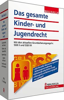 Das gesamte Kinder- und Jugendrecht Ausgabe 2013