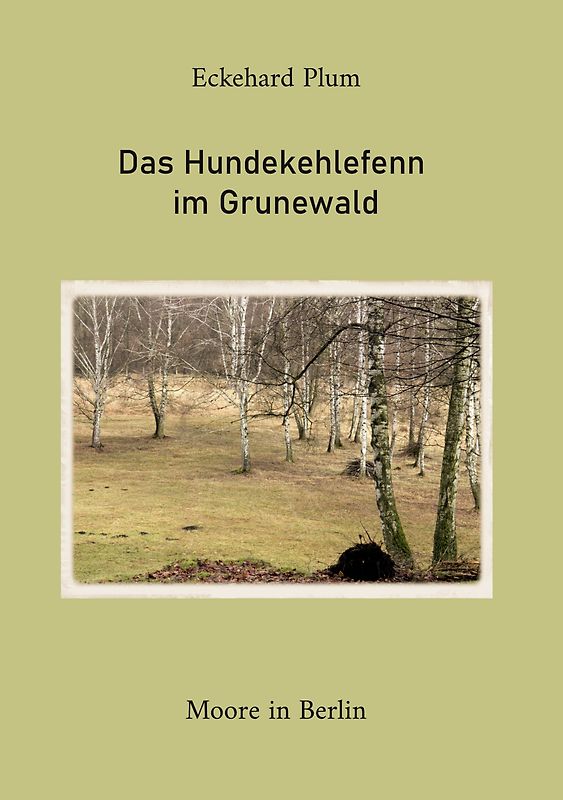 Das Hundekehlefenn im Grunewald