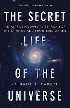The Secret Life of the Universe