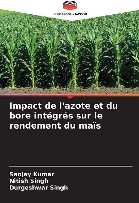 Impact de l'azote et du bore intégrés sur le rendement du maïs