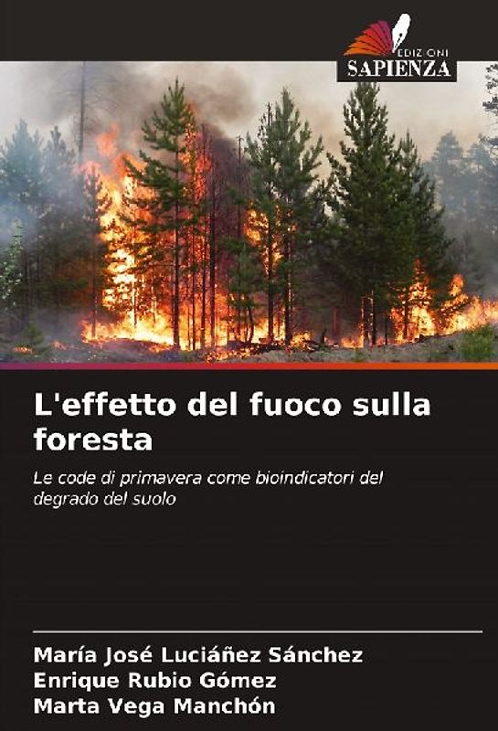 L'effetto del fuoco sulla foresta