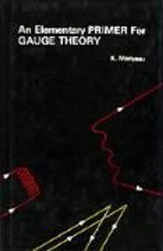 An Elementary Primer for Gauge Theory