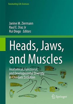 Heads, Jaws, and Muscles